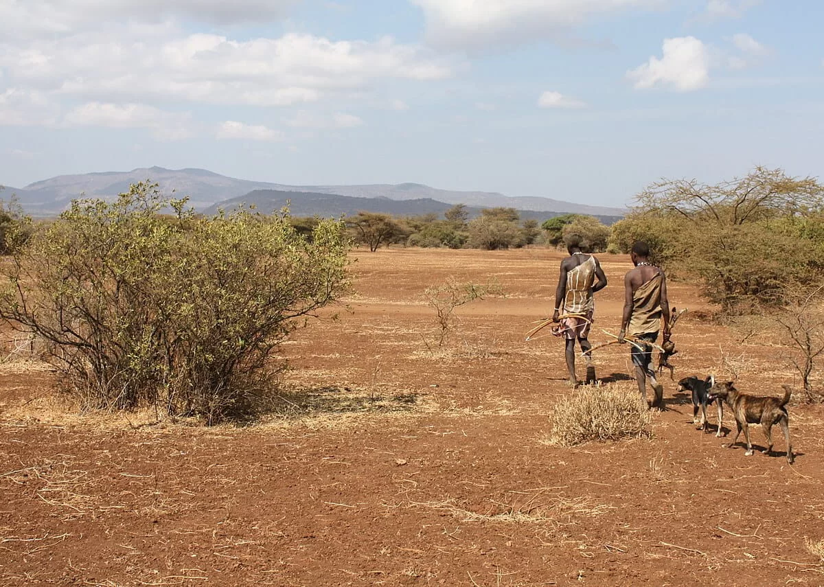 Hadza hunters in 2008