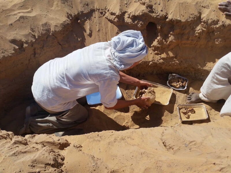 Archaeologists recover the remains of a woman with rheumatoid arthritis in Egypt