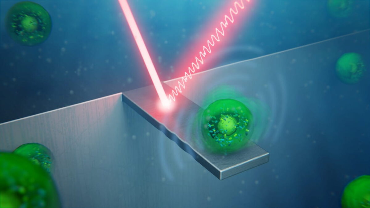 Artistic recreation of cell 'vibrations'
