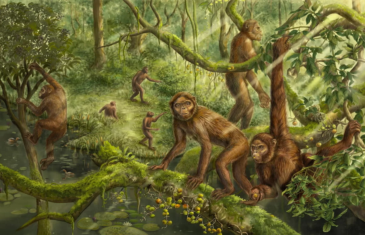 Reconstruction of locomotor behavior and paleoenvironment of Lufengpithecus