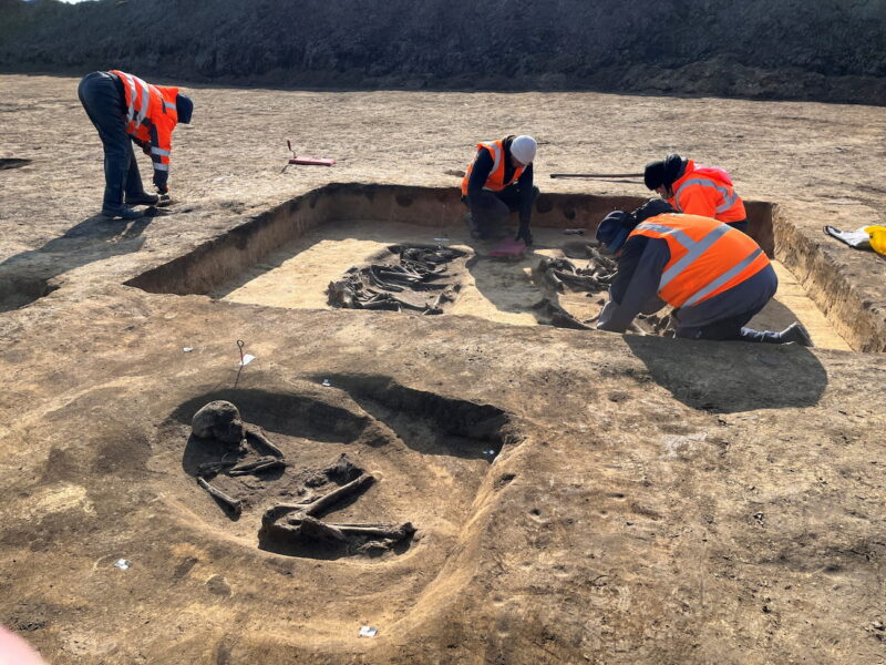 Archaeologists excavate the 5,000-year-old burial of a man and two cattle