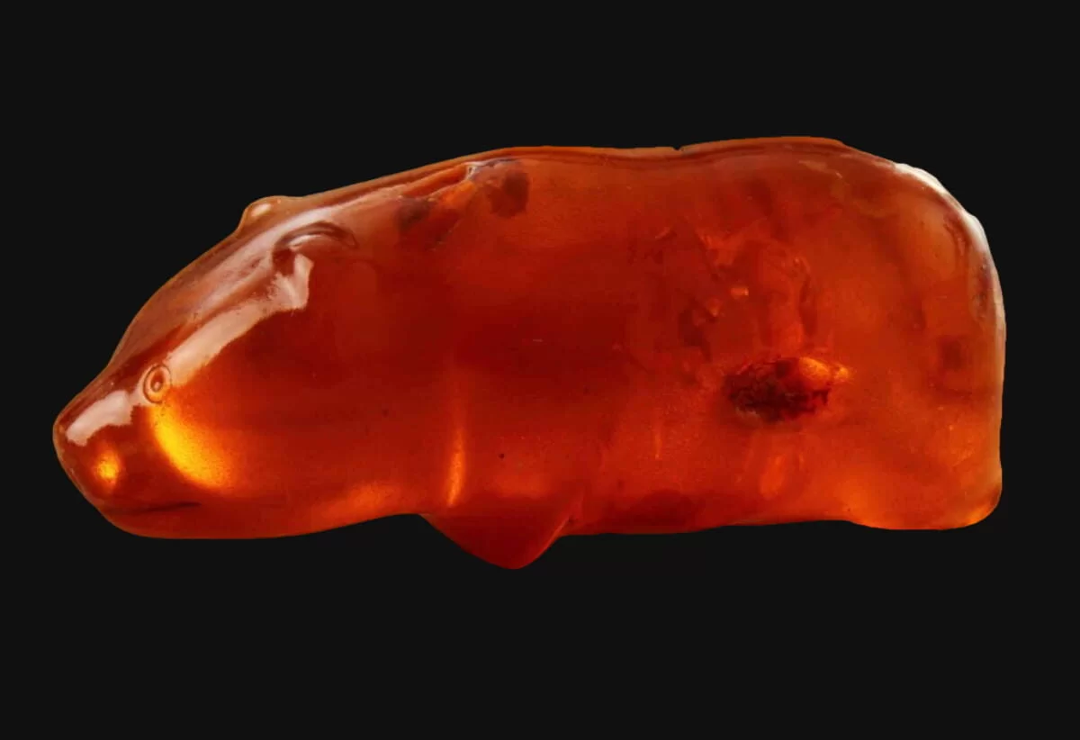 The Amber Bear of Słupsk