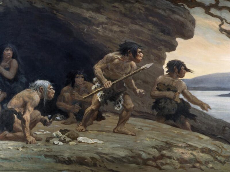 Remains Found in a Cave in Northern Spain Reveal That Neanderthals Hunted and Consumed Birds