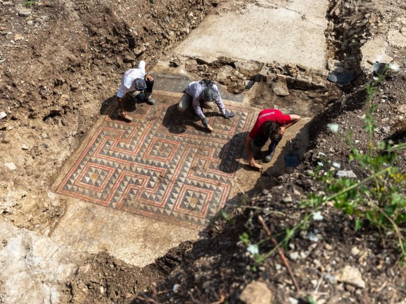 Rock-Carved Dwellings and a Roman Domus with a Spectacular Mosaic Found on a Hillside in Southeastern France