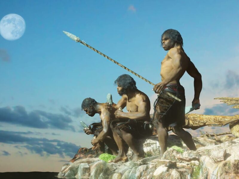 Prehistoric Humans of Atapuerca Held Large Communal Bison Hunts Sustainably—Without Intending To