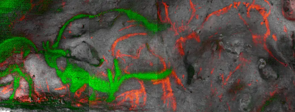 font-de-gaume cave paintings dated