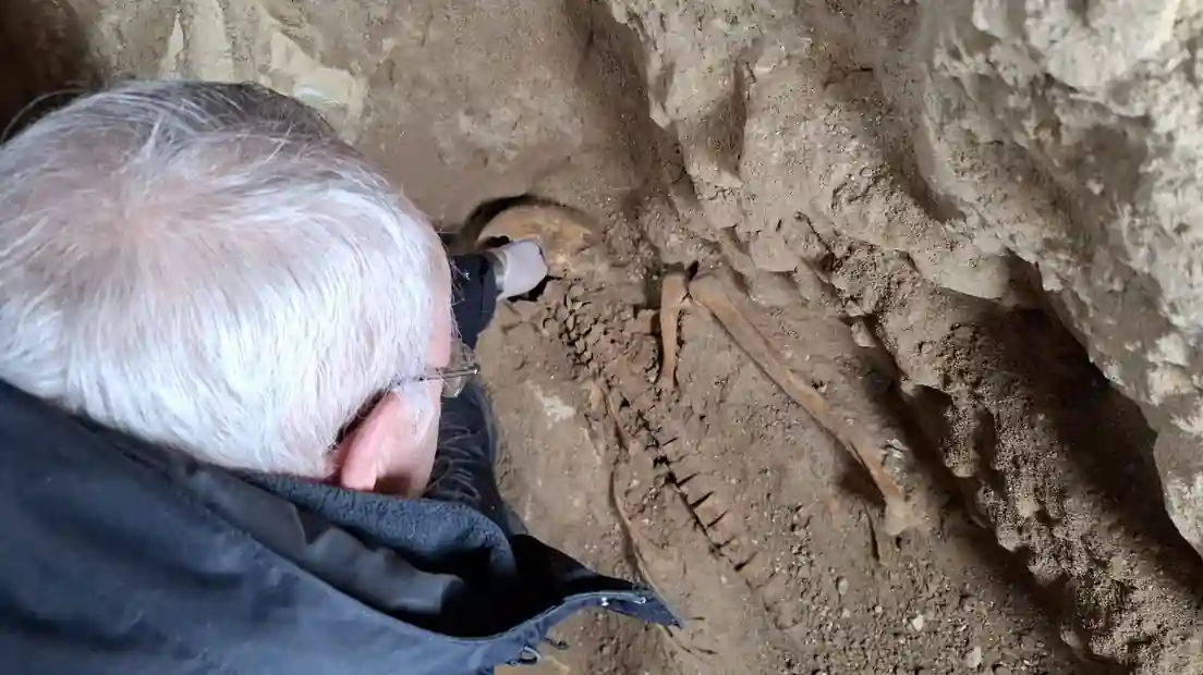 The remains of d'Artagnan, the soldier who inspired the character of the  famous musketeer, are found in Maastricht