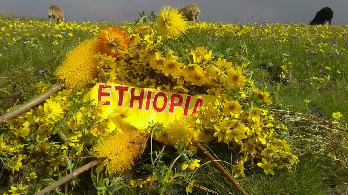 ethiopia calendar eight years back