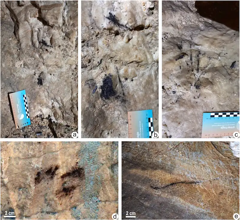 hunter-gatherers dog Italian cave how they light
