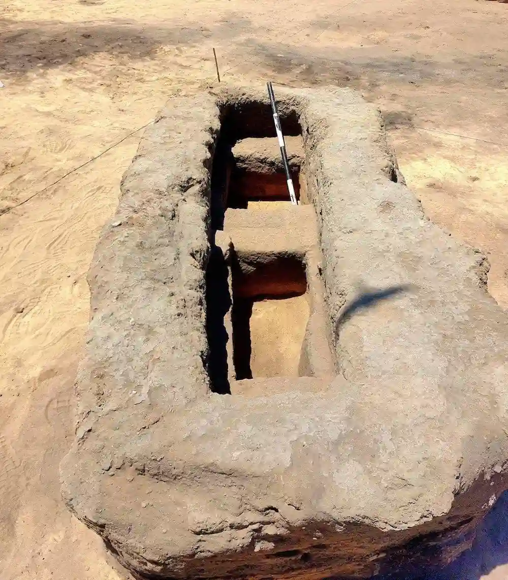 grecorroman necropolis wild boars egypt