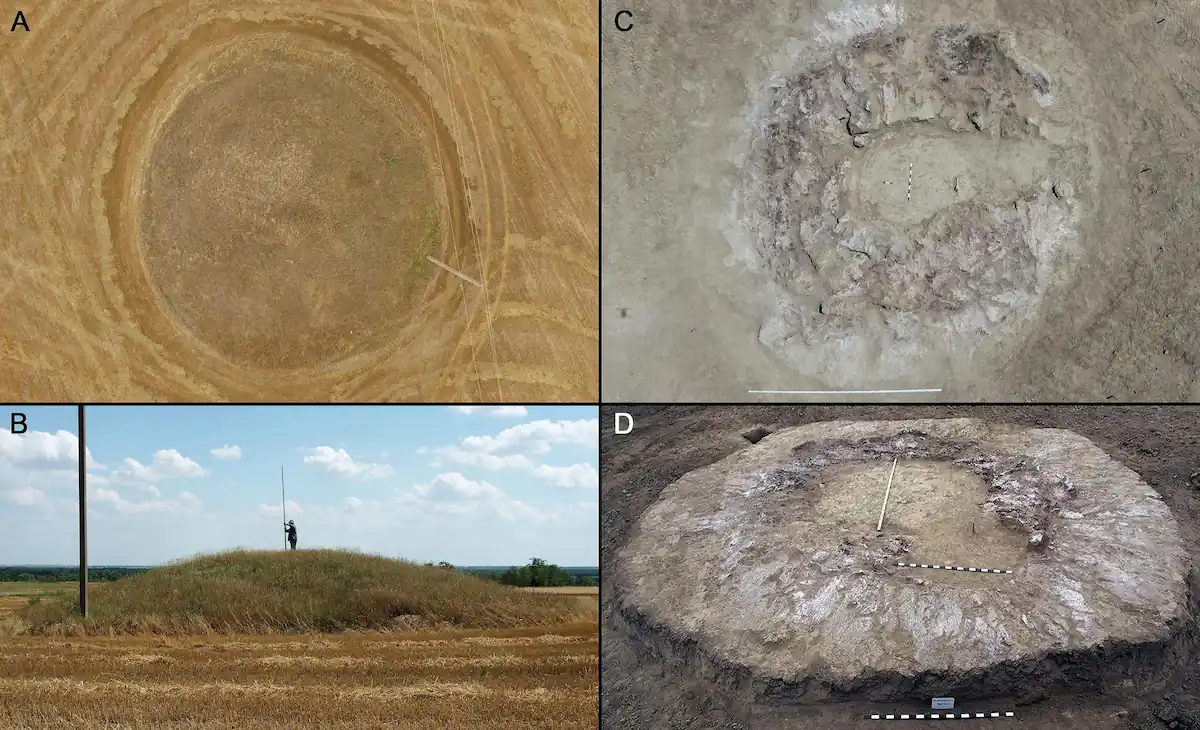 scythians horses sacrifice tumulus