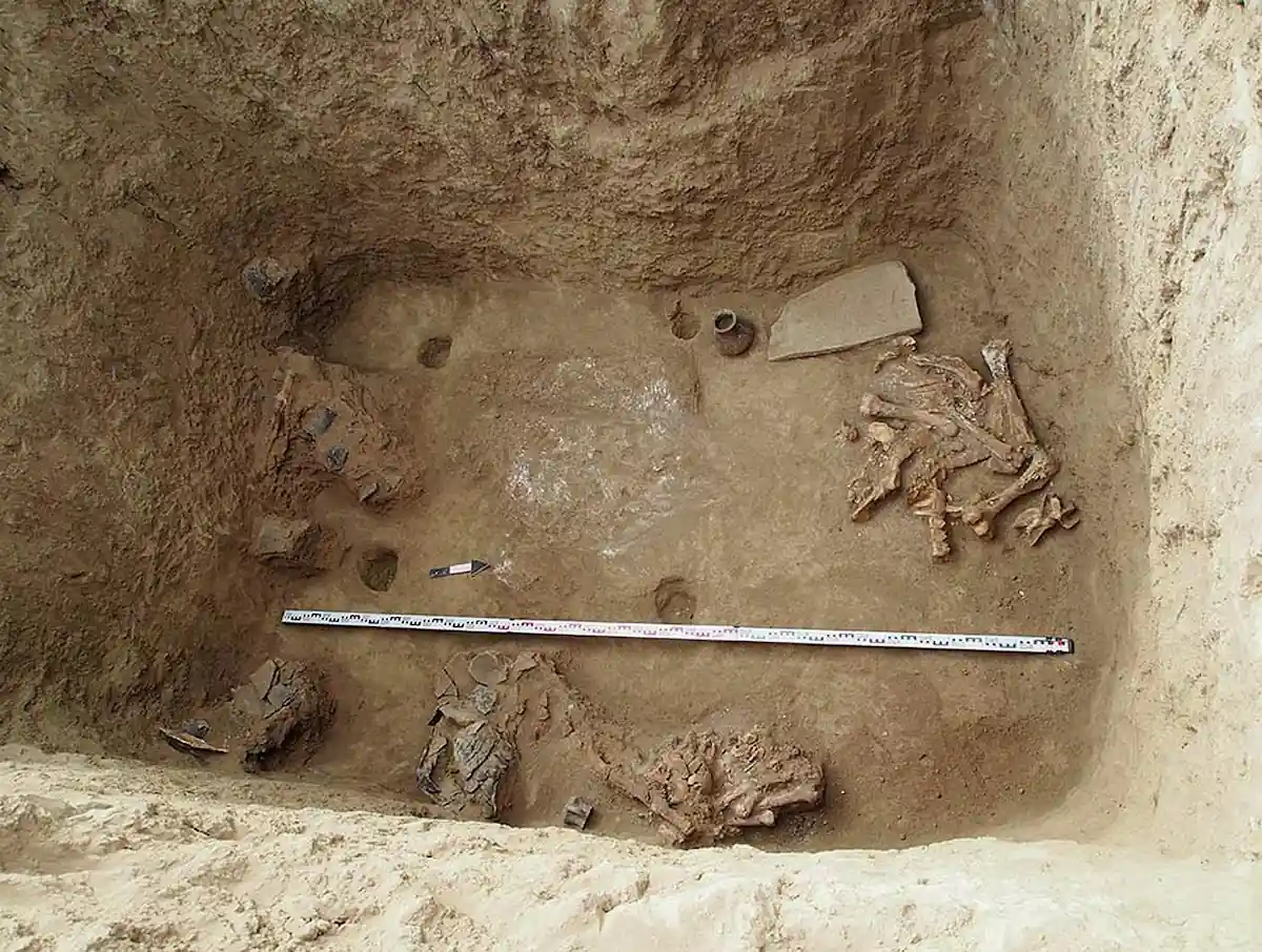 scythians horses sacrifice tumulus