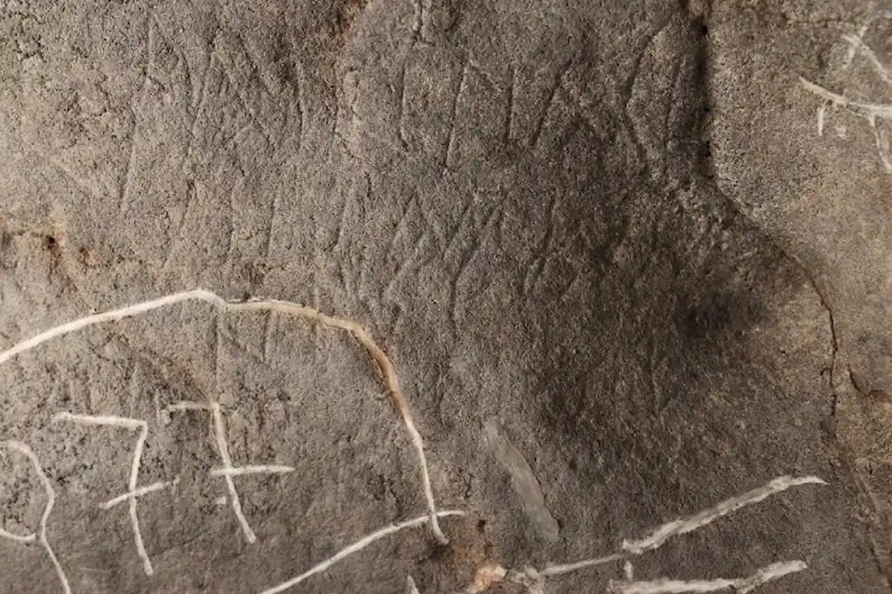 Photo: labrujulaverde.com Archaeologists Uncover 120 Roman Inscriptions in Spanish Cave, Revealing Leading Role of Women in Goddess Rituals