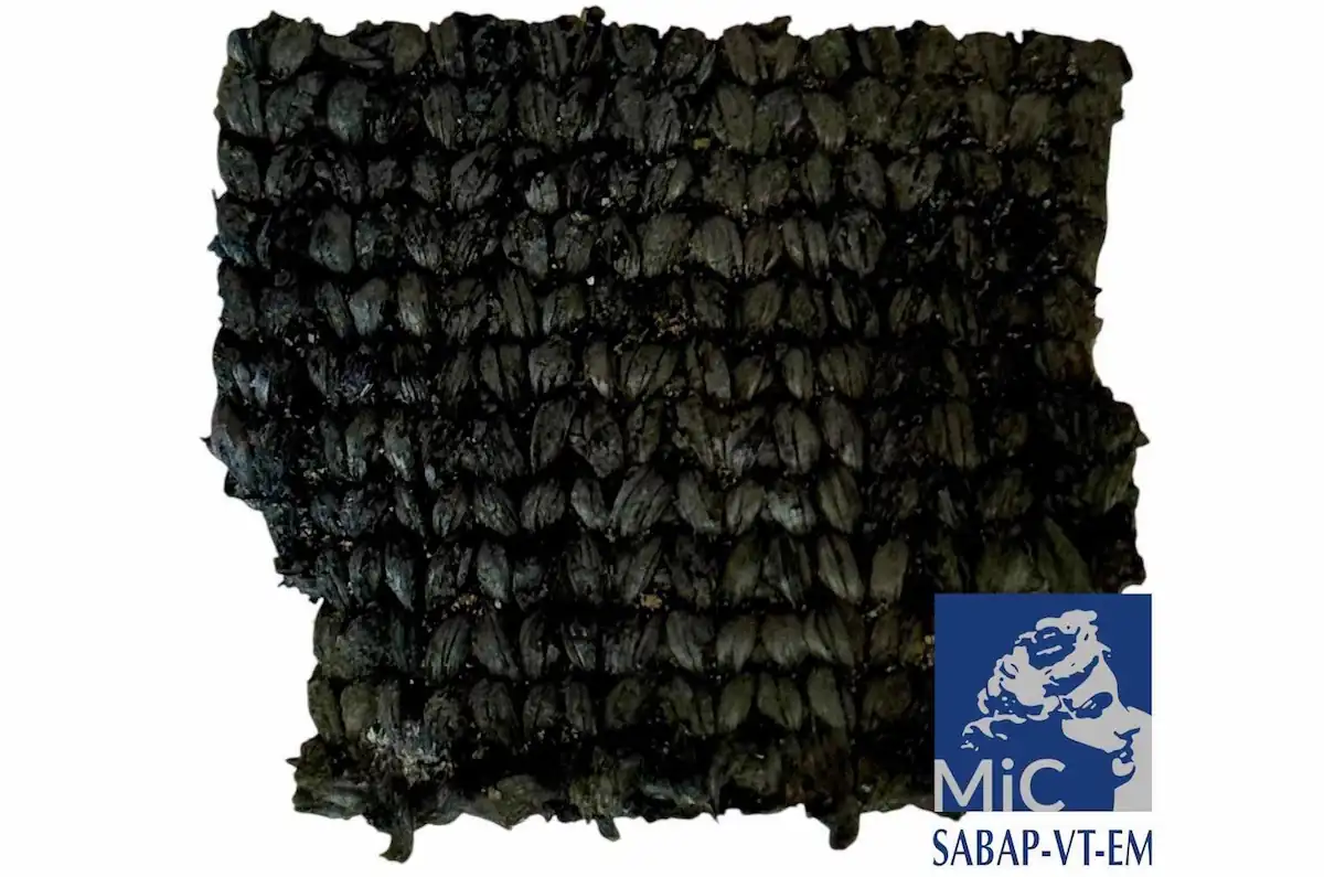 first textile Iron Age Gran Carro di bolsena
