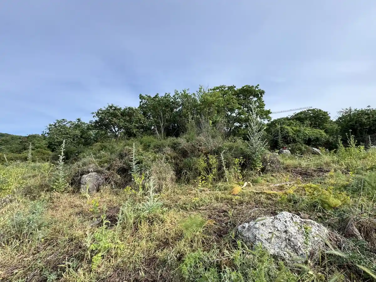 giants' tomb Sardinia found
