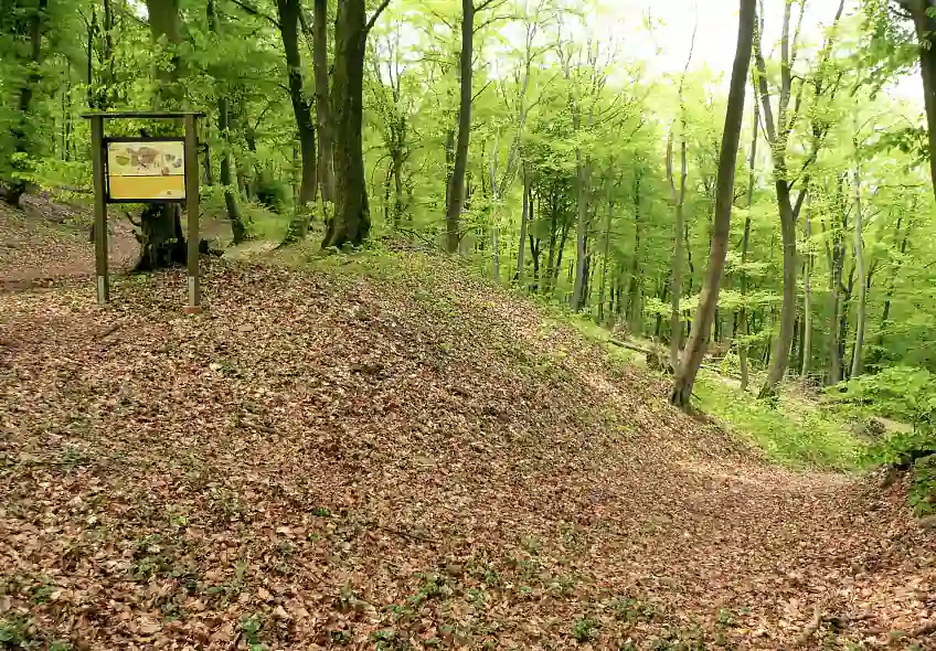 3rd century bc germanic peoples fortification