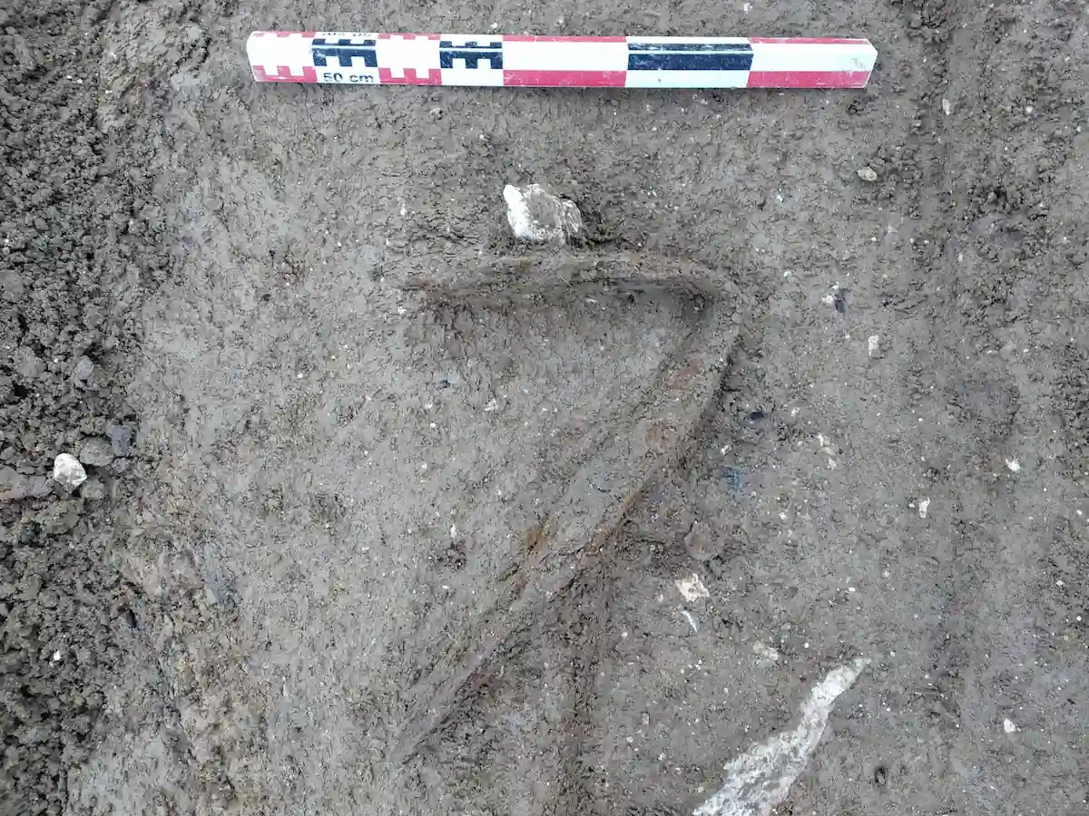 rare statue gallic settlement horse eating