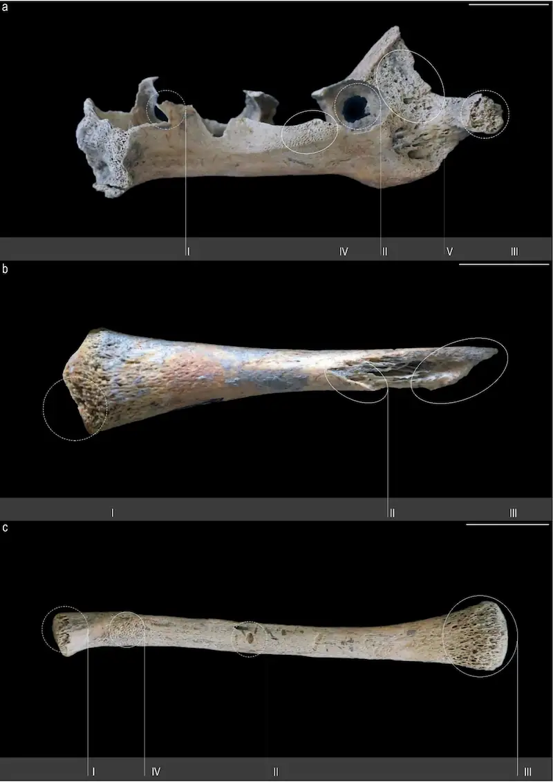 Dolomites Italy neolithic childbirth evidence