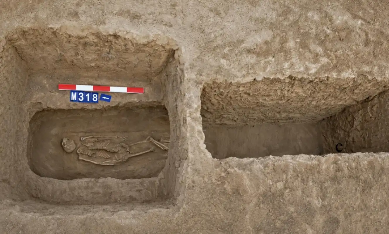 Photo: labrujulaverde.com Ancient Chinese Skeleton Reveals Proof of Brutal Nose Amputation for Cattle Theft
