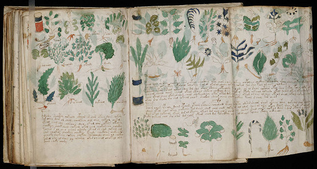 El misterioso Códice Voynich