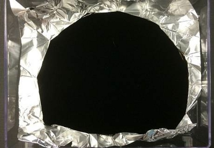 El color negro más intenso que existe