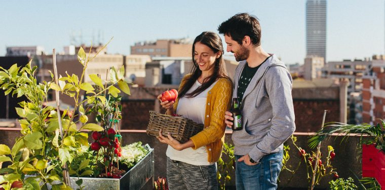 El huerto urbano como alternativa sostenible 1