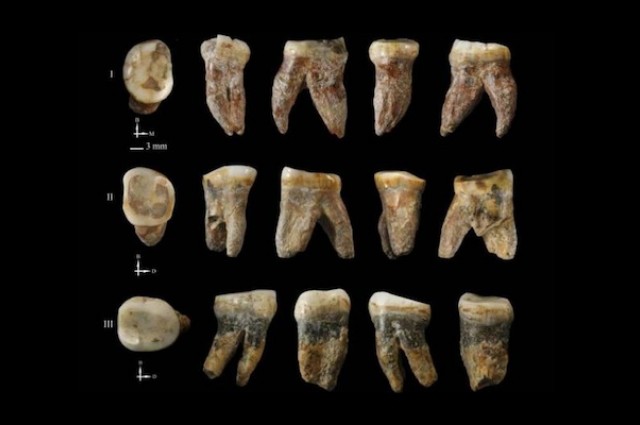 Descubren restos de una especie humana desconocida