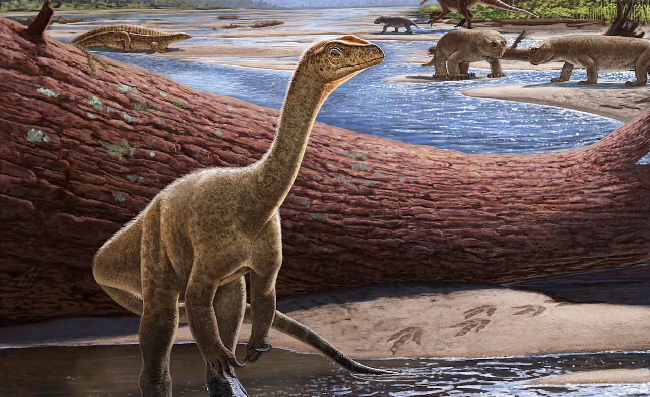 Mbiresaurus raathi rendering-2-2