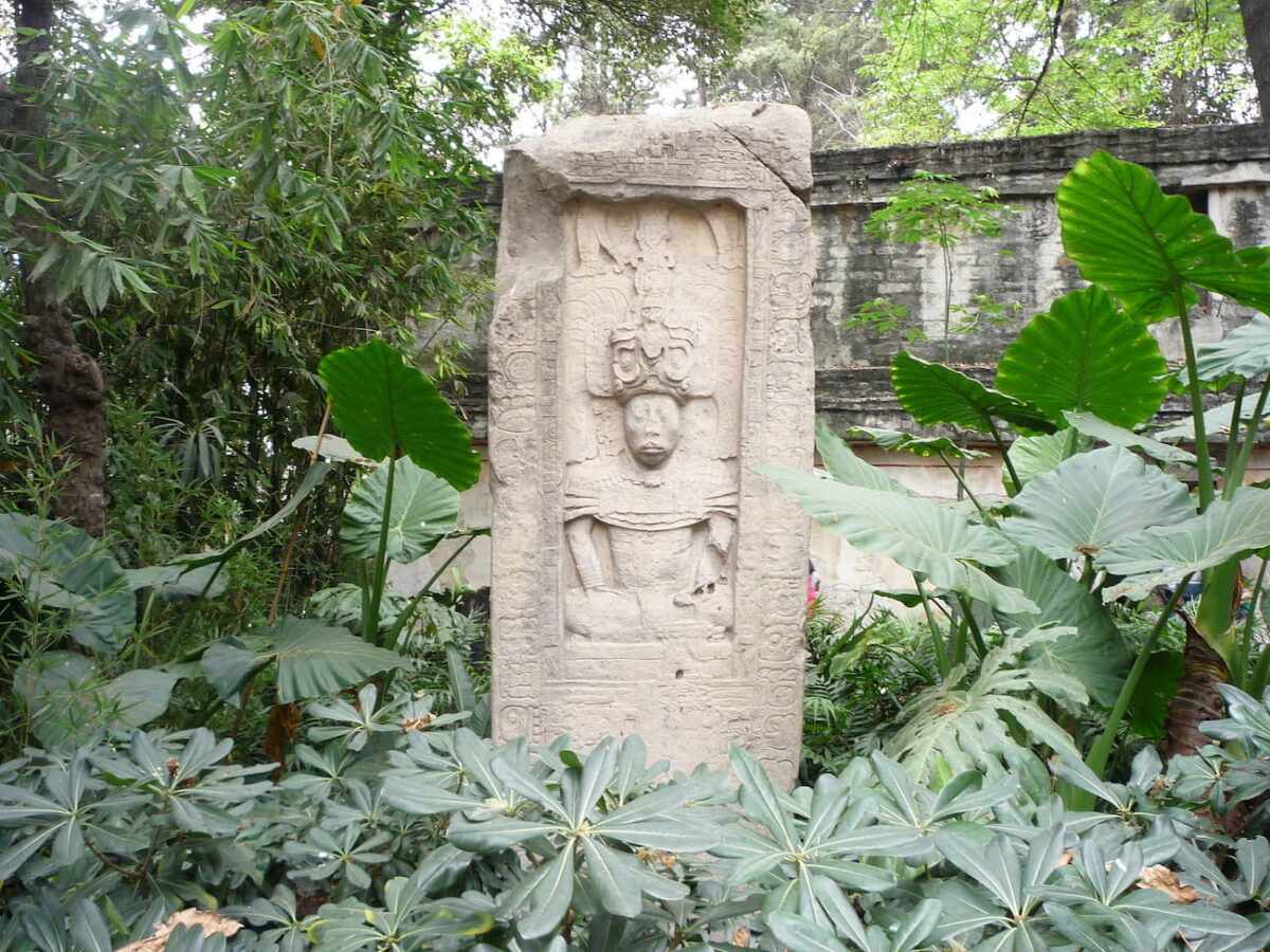 Estela maya procedente de Piedras Negras