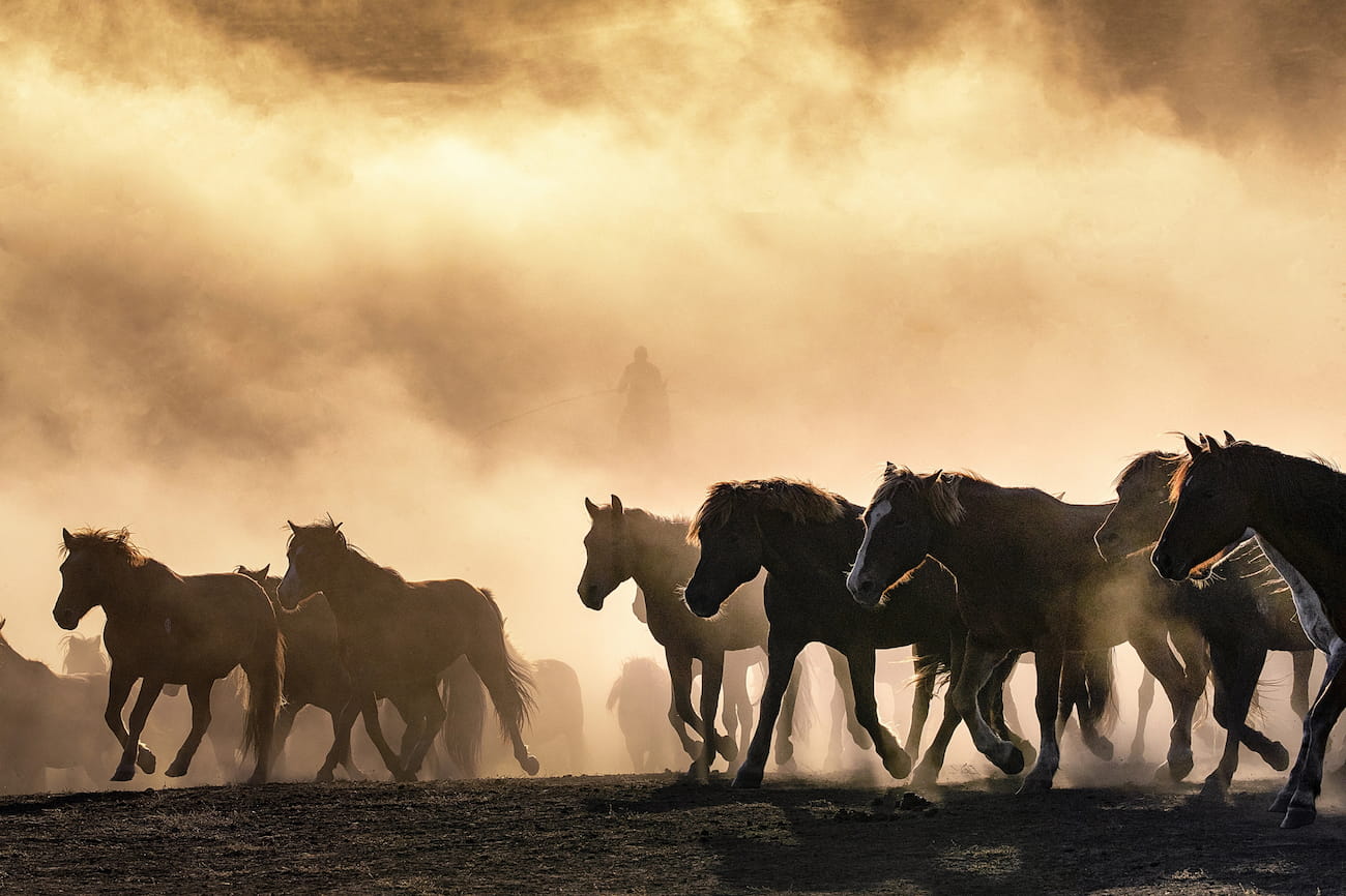 Los Caballos Celestiales permitieron crear la gran caballería china