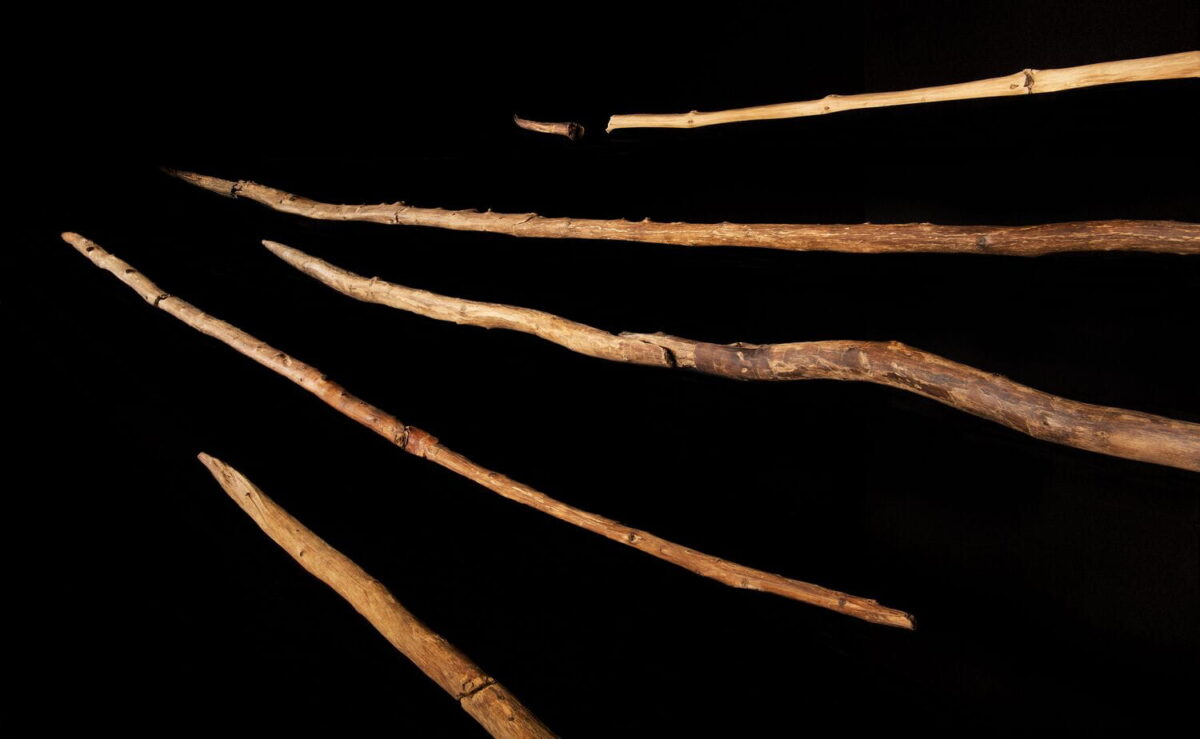 Lanzas de Schöningen en la exposición del Museo de Investigación de Schöningen