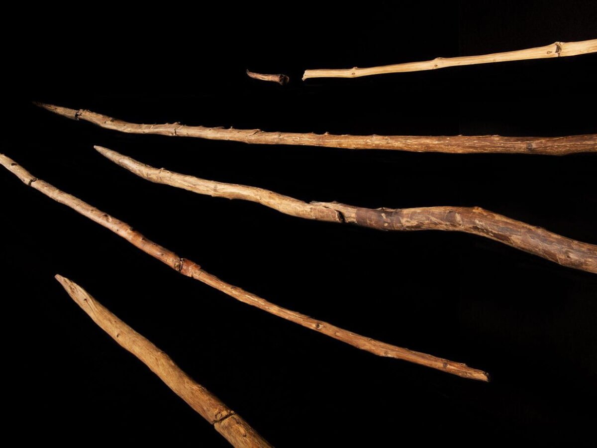 Lanzas de Schöningen en la exposición del Museo de Investigación de Schöningen