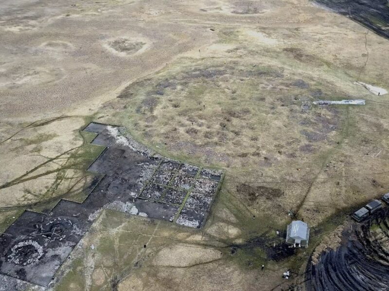 18 caballos encontrados en una tumba de la Edad del Hierro en Siberia revelan el posible origen de los Escitas