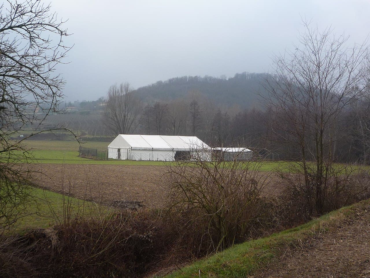 Lucone di Polpenazze