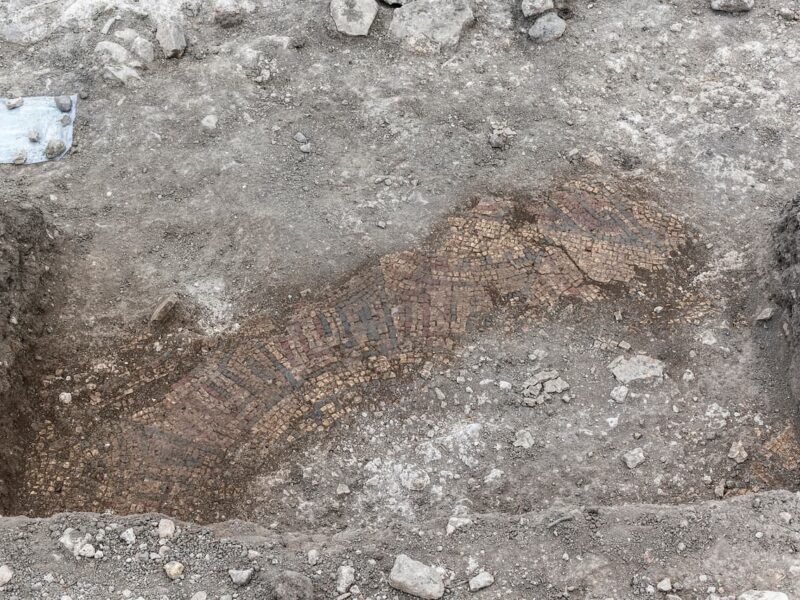 Todo un pueblo romano de casas con suelos de mosaicos, fuentes con estanques de mármol y cerámicas de lujo, descubierto en el sureste de Sicilia