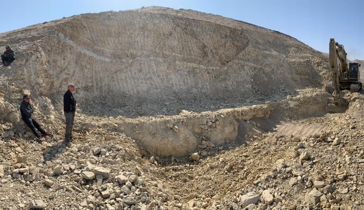 Vista del lugar donde está el fósil del esqueleto del Perucetus colossus