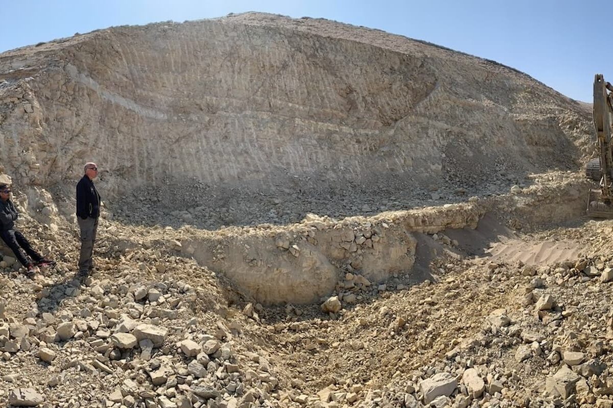 Vista del lugar donde está el fósil del esqueleto del Perucetus colossus