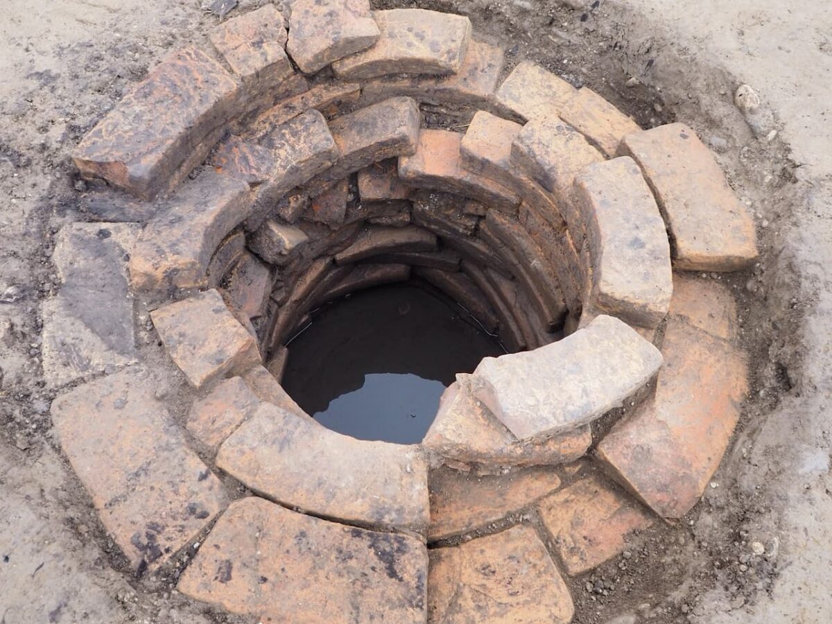 Un pozo romano con nueces, avellanas, y semillas de uva, encontrado en Bassa Friulana en el noreste de Italia