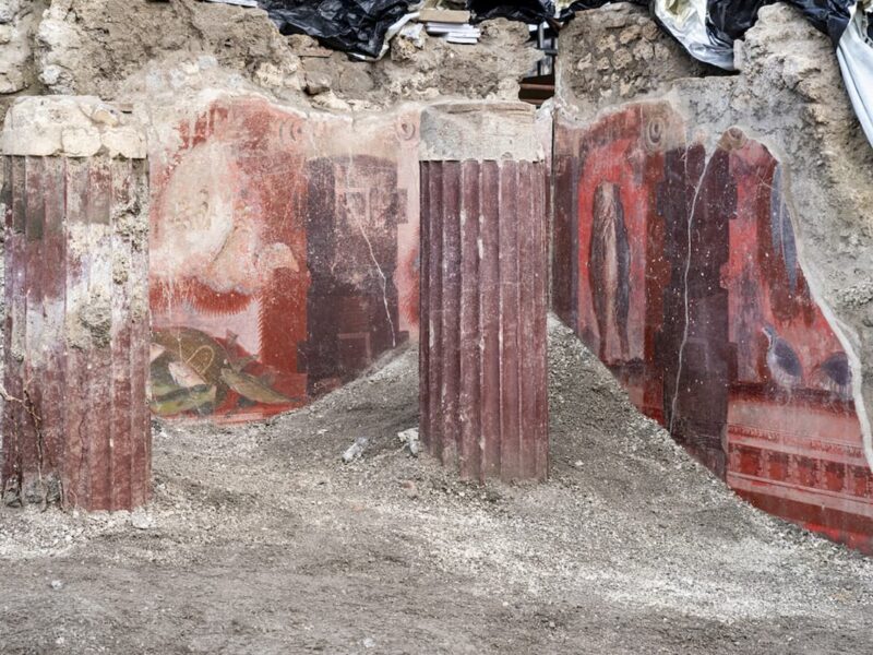 Un salón columnado con excepcionales frescos de bodegones de caza y pesca, encontrado en Pompeya