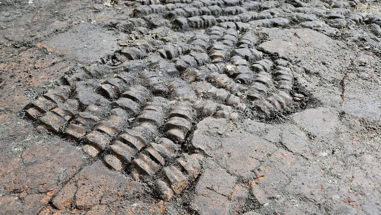 Alkmaar bones pavement