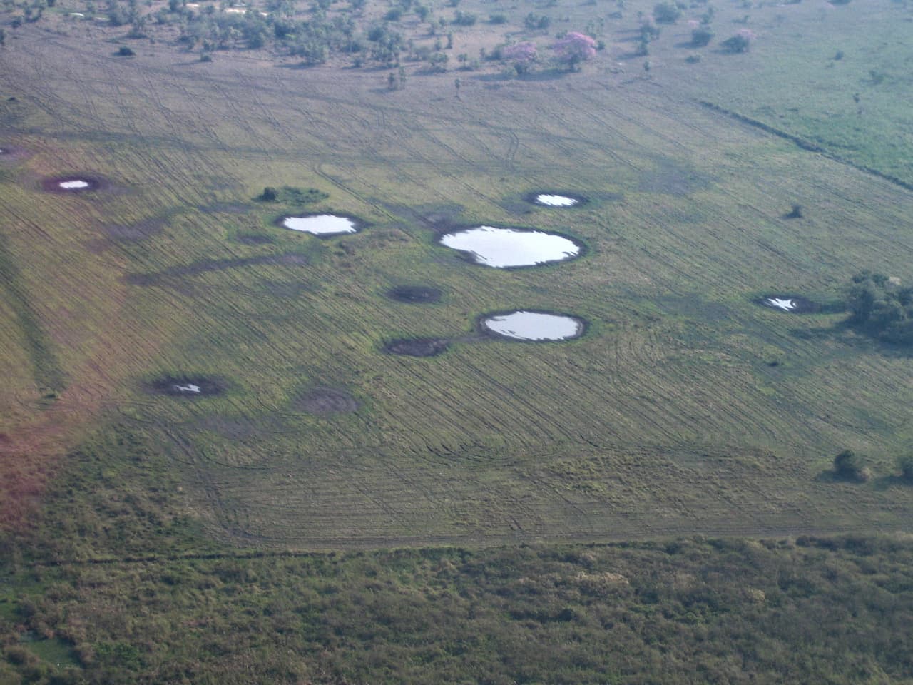 La civilización prehispánica Casarabe desarrolló un sistema de ingeniería para cultivar maíz todo el año en la Amazonia entre los años 500 y 1400 d.C.