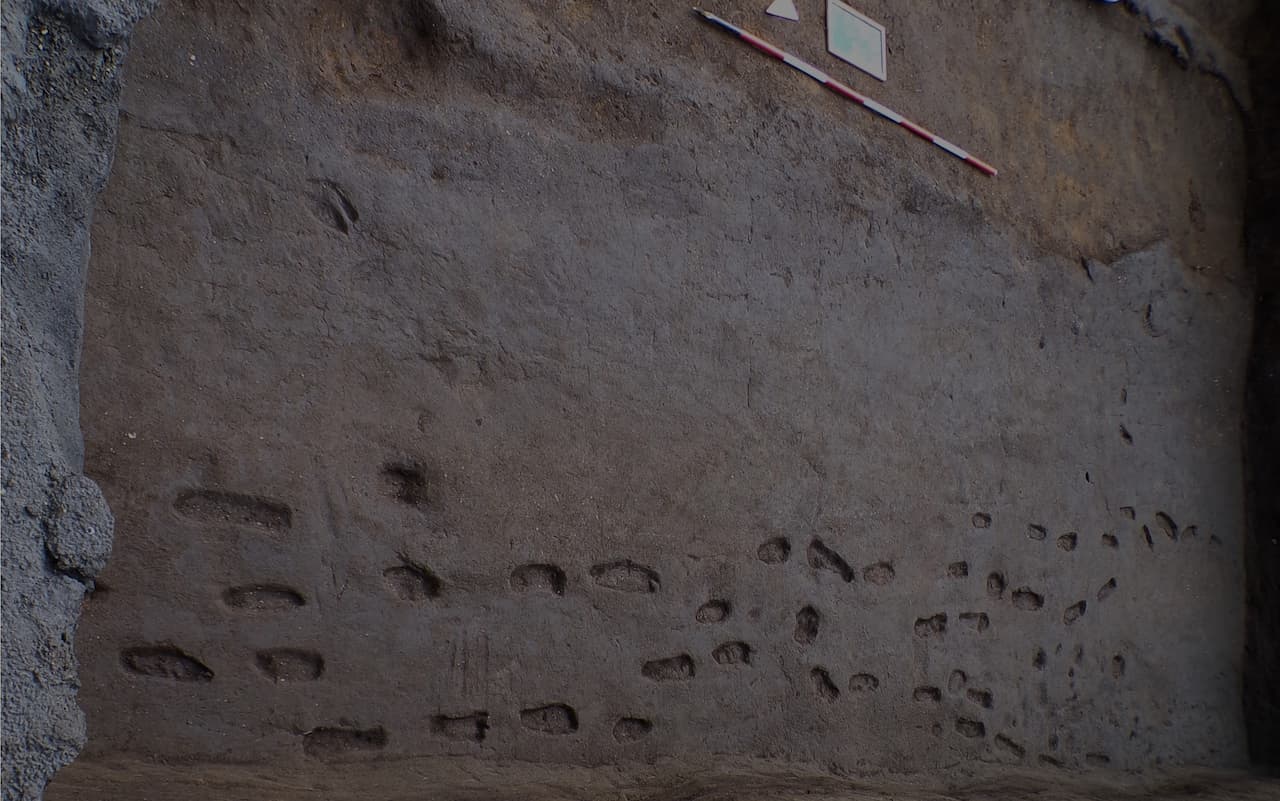 Huellas humanas de la Edad del Bronce dejadas por personas que huían de una erupción del Vesubio, y otros extraordinarios descubrimientos en Campania