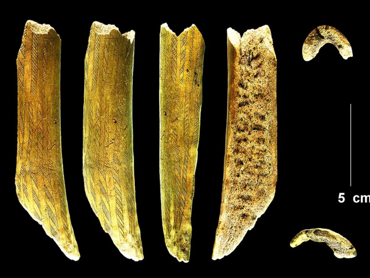 The fascinating story of a fragment of Decorated Asta of the Mesolithic: it was ax, then harpoon, and finally offering deposited in a river