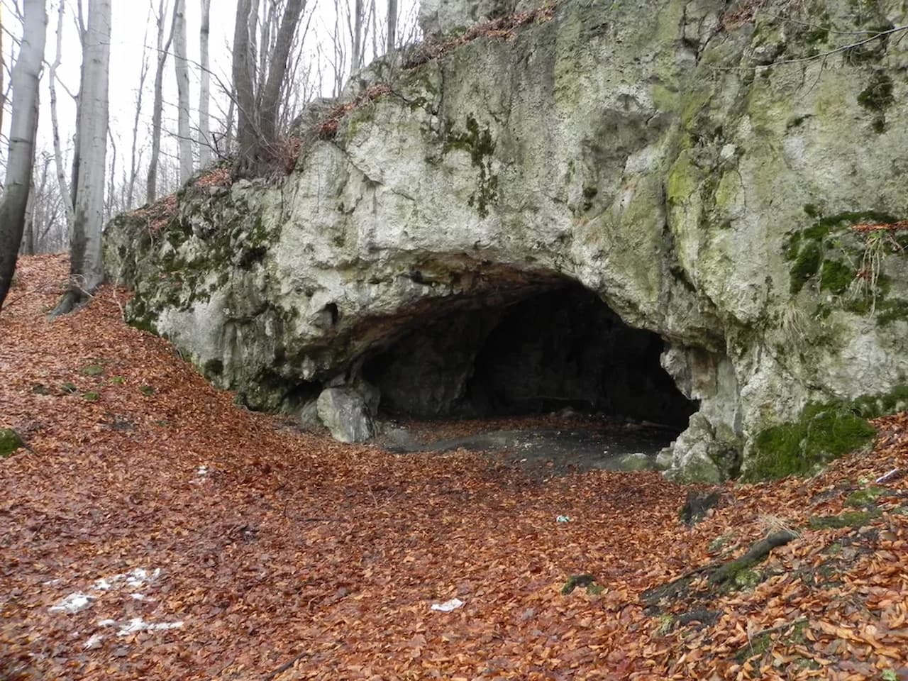 Evidencias de consumo de cerebros humanos en el Magdaleniense, hace 18000 años, encontradas en una cueva de Polonia