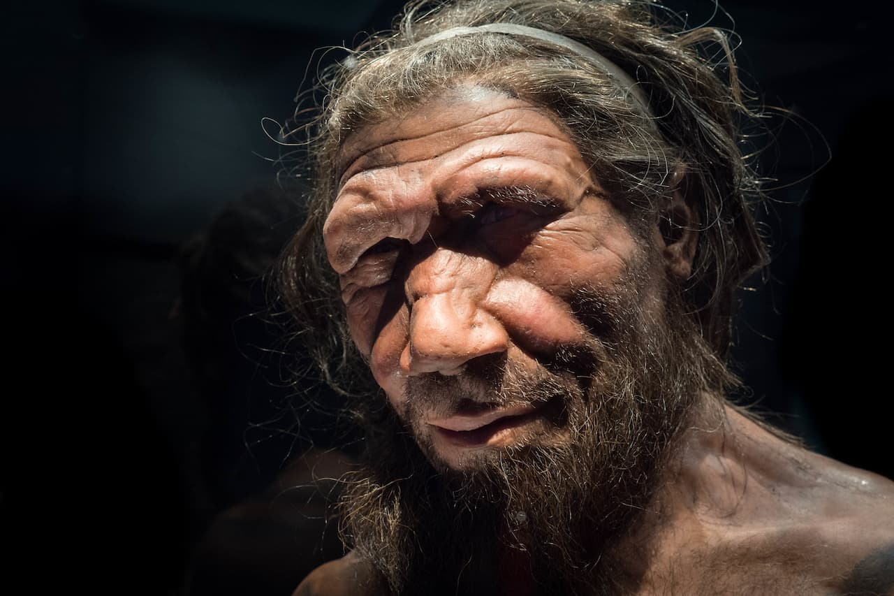 Neandertales oido origen