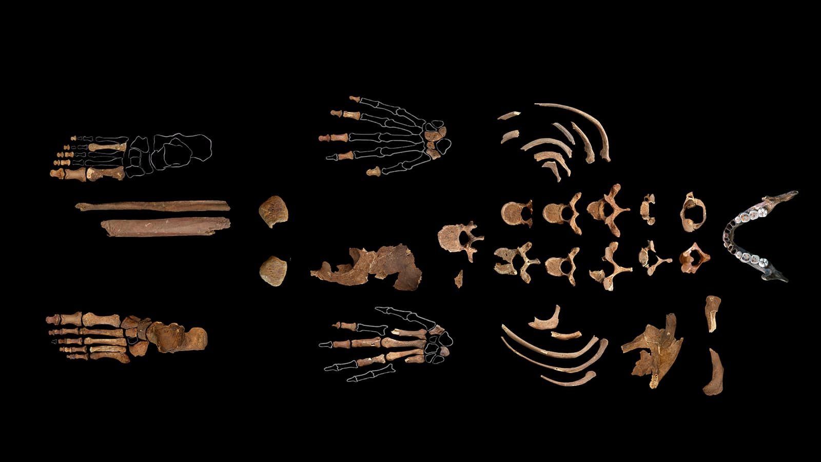 Establecen un linaje continuo desde hace más de 46.000 años para la Dama Roja de El Mirón, cuyos restos se encontraron en una cueva de Cantabria