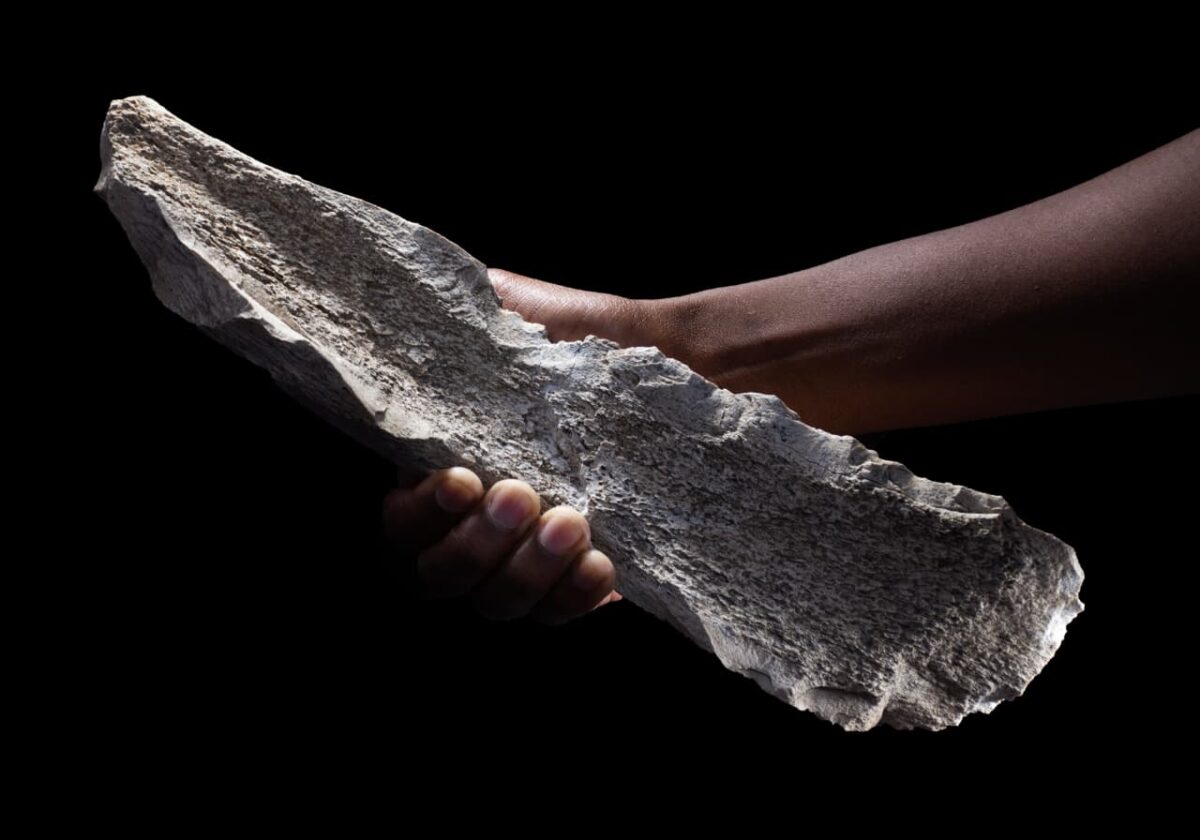 Olduvai herramientas hueso homininos