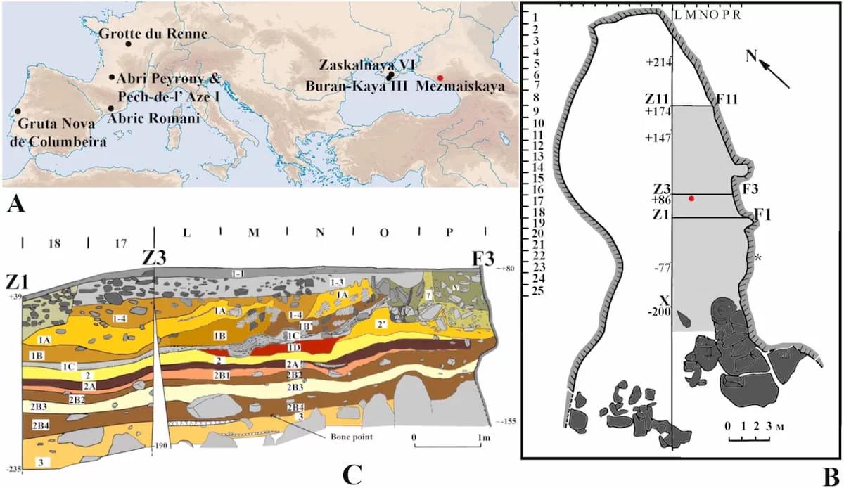 punta lanza hueso neandertales