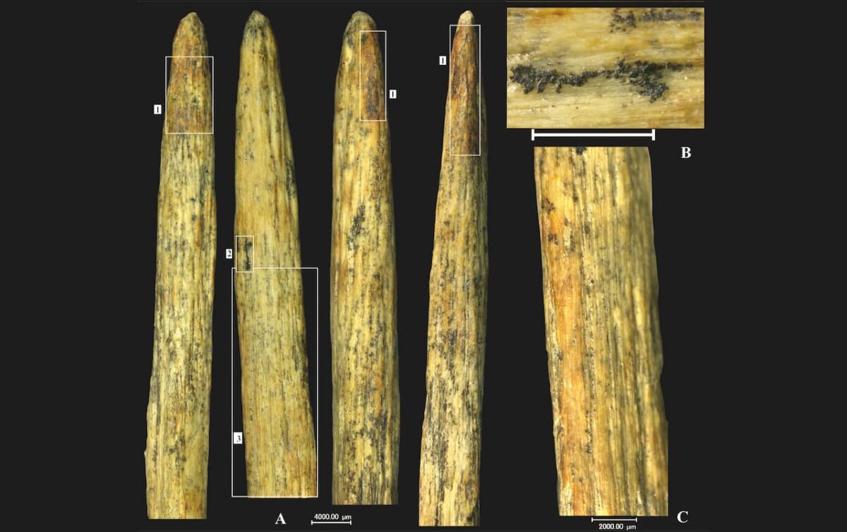 punta lanza hueso neandertales