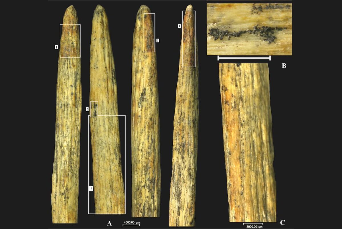 punta lanza hueso neandertales